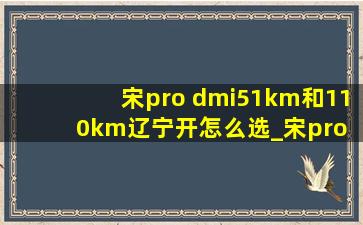 宋pro dmi51km和110km辽宁开怎么选_宋pro dm-i71km和110km怎么选